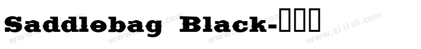 Saddlebag Black字体转换